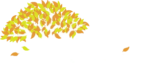 Pompe Funebre Brasov